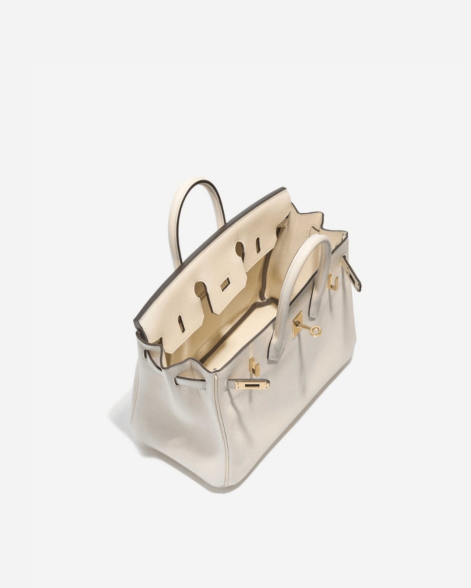 The Birkin 30 - velouisse