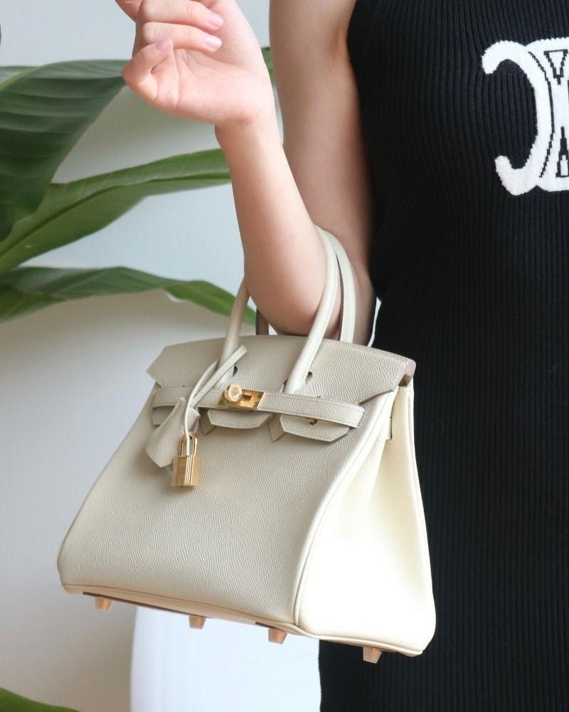 The Birkin 30 - velouisse